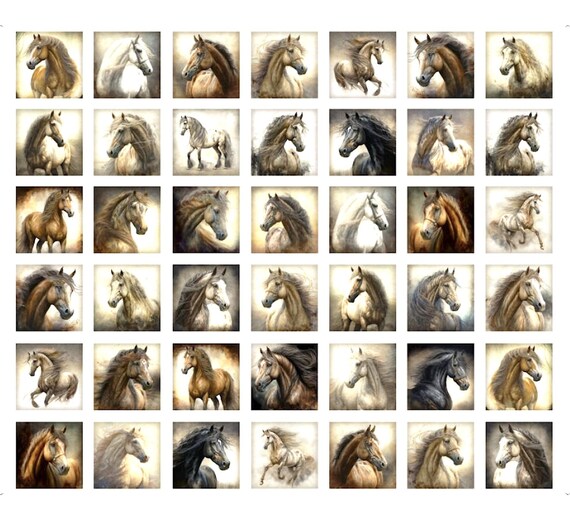 Stallion Song Horse Panel, Great for Horse Lovers! 42 Small Blocks, 29935 E, Dan Morris, QT Fabrics,100% Cotton, R2R5, B1015, Sold by PANEL
