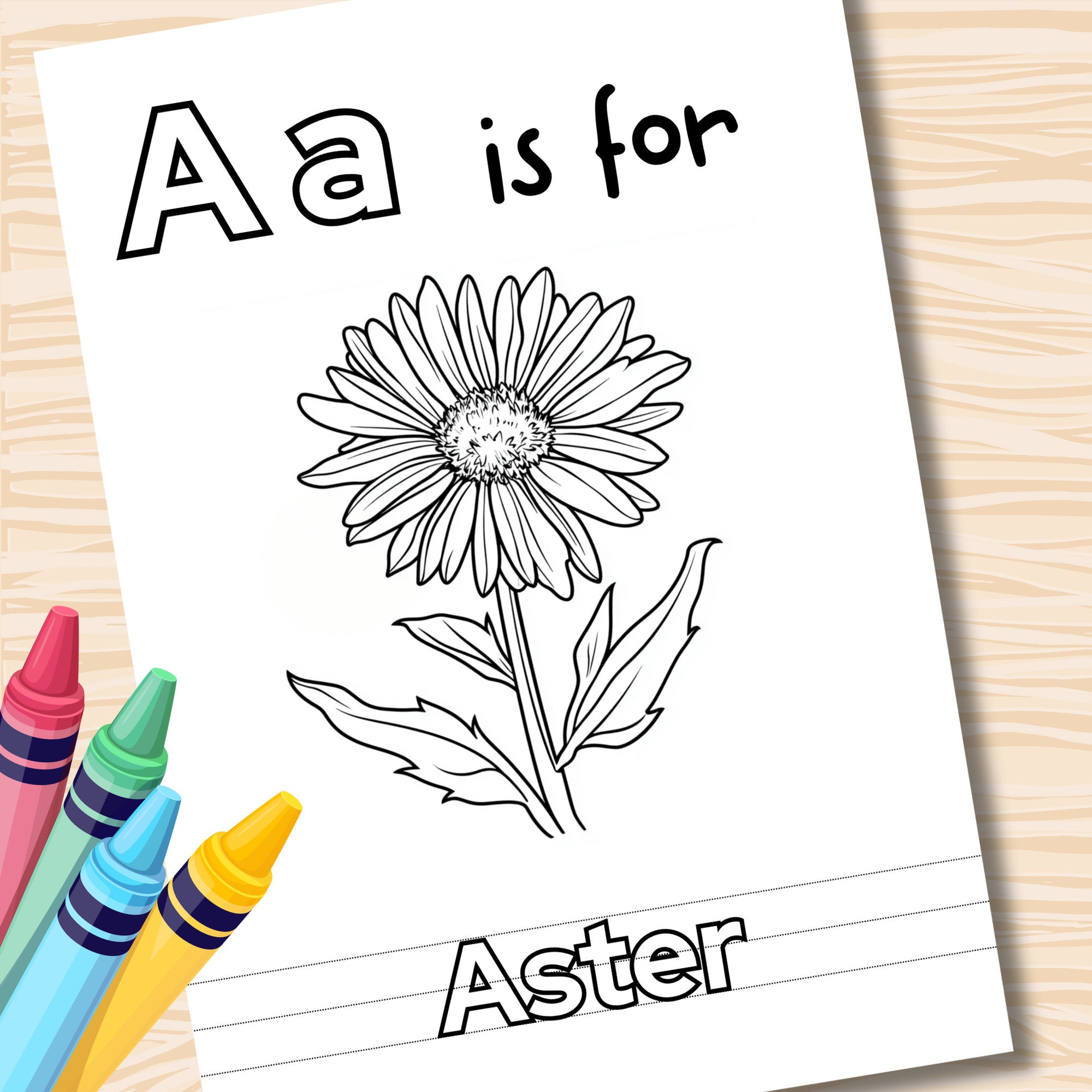 Botanical Flowers Coloring Book Flower Coloring Pages Printable Floral ...