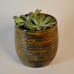 May include: A brown and blue ceramic planter with a succulent plant inside. The planter has a textured, striped design.