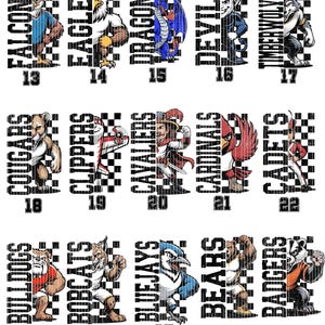 K&ouml;nnte beinhalten: Eine Sammlung von Sportteam-Logos, die jeweils ein Maskottchen und den Teamnamen zeigen. Die Logos zeigen einen Falken, Adler, Drachen, Teufel, Timberwolf, Puma, Clipper, Kavallier, Kardinal, Kadett, Bulldogge, Bobcat, Bluejay, B&auml;r und Dachs.