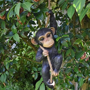 May include: A black and brown chimpanzee figurine hanging from a rope, with a playful expression on its face. The figurine is surrounded by green leaves, suggesting a jungle setting.