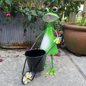 May include: A green frog figurine with a white belly and large eyes, holding a black metal wheelbarrow planter. The frog is standing on a patio with a brown pot and green plants in the background.