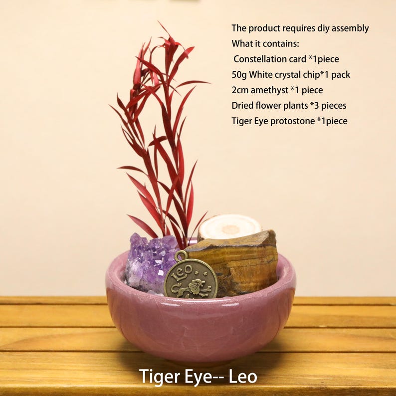 May include: A pink ceramic bowl containing a DIY assembly kit with three red dried flower plants, a 2cm amethyst, a Tiger Eye stone, 50g of white crystal chips, and a bronze-toned Leo constellation charm. Text lists contents and assembly.
