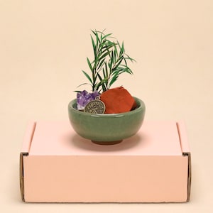 May include: A small green ceramic bowl containing a green leafy plant, a purple amethyst crystal, a red jasper stone, and a round bronze-colored metal charm with the word Aquarius and a water-bearer symbol engraved on its surface.