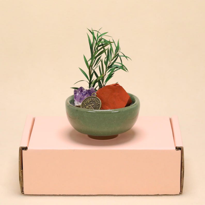 May include: A small green ceramic bowl containing a green leafy plant, a purple amethyst crystal, a red jasper stone, and a round bronze-colored metal charm with the word Aquarius and a water-bearer symbol engraved on its surface.