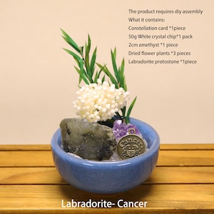 May include: A blue ceramic bowl containing a Labradorite stone, a 2cm amethyst, white crystal chips, dried flower plants, and a bronze-colored Cancer zodiac charm. Text lists contents: 50g white crystal chip, 2cm amethyst, 3 dried flower plants.