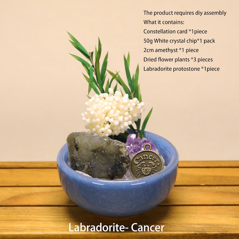 May include: A blue ceramic bowl containing a Labradorite stone, a 2cm amethyst, white crystal chips, dried flower plants, and a bronze-colored Cancer zodiac charm. Text lists contents: 50g white crystal chip, 2cm amethyst, 3 dried flower plants.