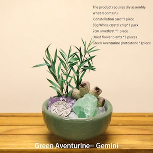 May include: A light green ceramic bowl containing a DIY assembly kit with green aventurine, a 2cm amethyst, white crystal chips, three dried flower plants, and a round metal charm embossed with the Gemini zodiac sign and text.