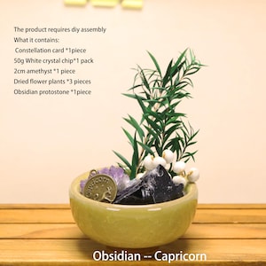 May include: A light green ceramic bowl containing a DIY assembly kit with a Capricorn constellation charm, a 2cm amethyst, 50g of white crystal chips, three dried flower plants, and an obsidian protostone. Text lists contents and assembly.
