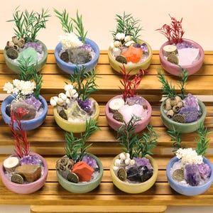 May include: Twelve small, round ceramic bowls in various pastel colors, each containing a unique arrangement of crystals, dried botanical elements, green plastic foliage, and a small circular metal charm featuring a tree of life design.