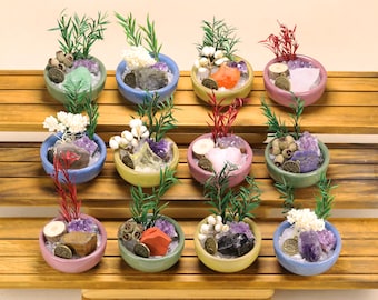 Zodiac Crystal Bowl Decor, Gemstone Home Decoration, Birthday Gift, Healing Crystal Gift
