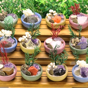 May include: Twelve small ceramic bowls in various pastel colors, each containing a unique arrangement of raw crystals, dried botanical elements, green sprigs, and a small round metal charm with engraved symbols, displayed on a tiered wooden stand.