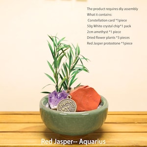 May include: A light green ceramic bowl containing a red jasper stone, a purple amethyst piece, white crystal chips, dried green plants, and a round metal charm with the text Aquarius. The product requires diy assembly and includes a constellation card.