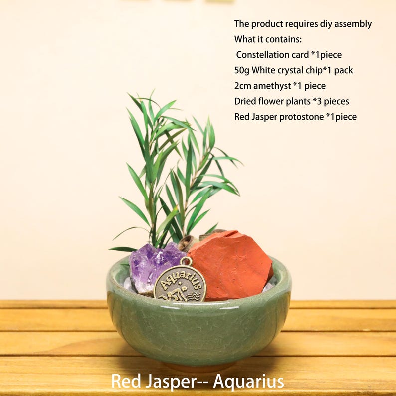May include: A light green ceramic bowl containing a red jasper stone, a purple amethyst piece, white crystal chips, dried green plants, and a round metal charm with the text Aquarius. The product requires diy assembly and includes a constellation card.