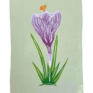 Op de afbeelding: Een paarse krokusbloem met een oranje hart en groene bladeren op een lichtgroene achtergrond.