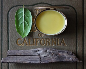 Refill tin for Q Solid Natural Perfume devoted to the California mighty oak - The oval fits perfectly within the romantic, tapestry case