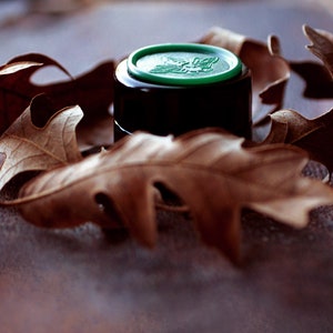 Q Solid Natural Perfume in a Round Violet Jar, Inspired by the California Native Oak, Quercus agrifolia, a woody, amber nature fragrance image 1