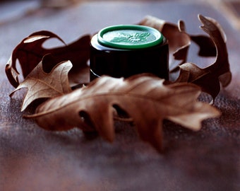 Q Solid Natural Perfume in a Round Violet Jar, Inspired by the California Native Oak, Quercus agrifolia, a woody, amber nature fragrance