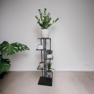 May include: A black metal plant stand with four shelves, each holding a potted plant. The stand is on a light gray carpet.