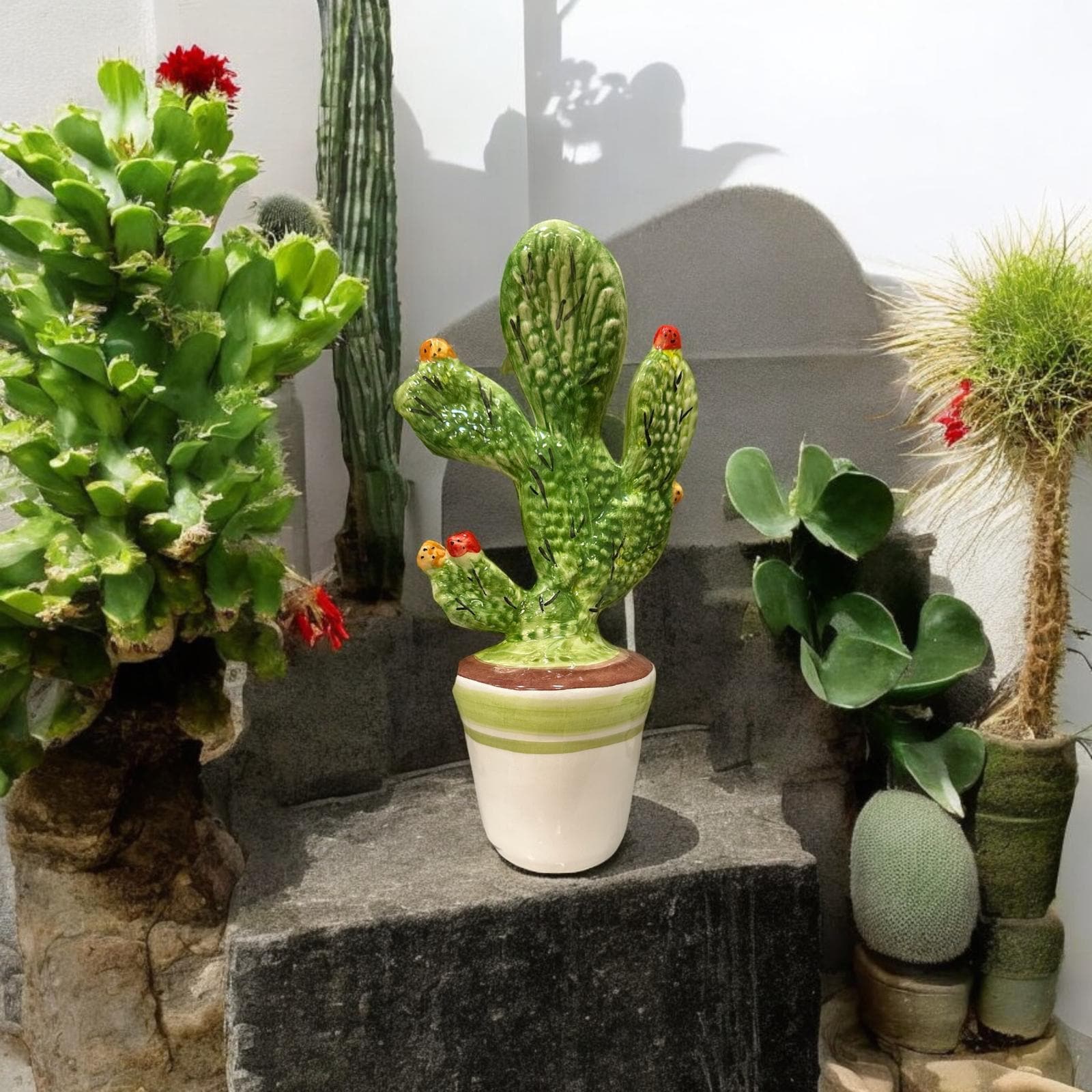 Proudnature Set 4 Vasi In Ceramica Con Cactus In Miniatura Scala 1:12 Per Giardino Fatato E Casa Delle Bambole - 3