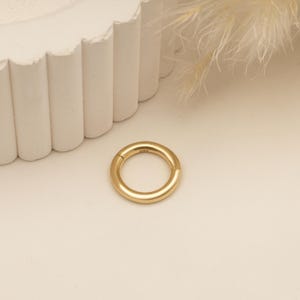 Può includere: Un orecchino a cerchio dorato con chiusura a cerniera. L'orecchino è in metallo e ha un diametro di circa 10 mm.