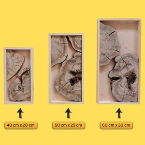 Natural Olive Wood live edge Slices for DIY Epoxy Resin River and moss projects