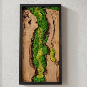Puede incluir: Arte mural rectangular de madera con marco negro. La obra presenta un fondo de vetas de madera natural con una franja central de musgo verde y amarillo vibrante. El musgo añade un elemento texturizado y orgánico a la pieza.