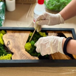 May include: A rectangular wooden art piece with a black frame, featuring a natural wood grain design and vibrant green moss. The piece is being crafted with gloved hands, a wooden stick, and a bottle of liquid.