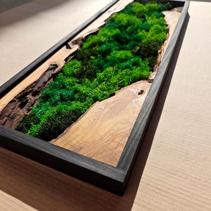 Op de afbeelding: Rechthoekige houten wandkunst met een levendig groen mosontwerp. Het mos is geplaatst in een natuurlijke houten lijst met een donkergrijze rand. Het kunstwerk heeft een natuurlijke, organische uitstraling.