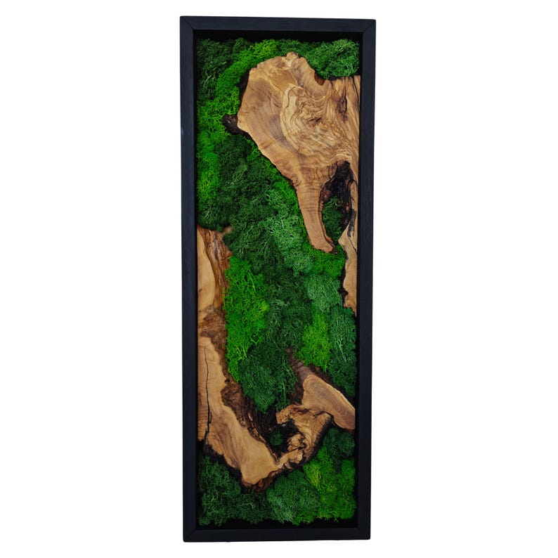 Close-up view of preserved green moss texture combined with natural olive wood details. Deco murale bois et mousse naturelle avec style contemporain.