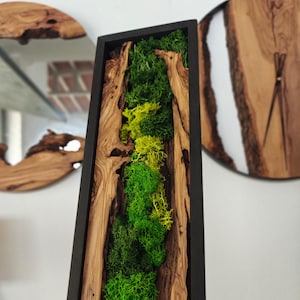 Minimalist vertical wooden artwork featuring preserved moss and natural olive wood grain. Decorazione murale in muschio stabilizzato e legno d’ulivo artigianale.