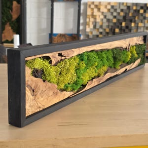 Puede incluir: Arte mural rectangular con un arreglo de musgo natural. El musgo es una mezcla de tonos verdes y amarillos, enmarcado en un marco de madera con un acabado oscuro. La madera tiene una veta natural y orgánica. Aproximadamente 60 cm de largo.