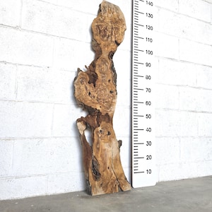 Live Edge Spanish Olive Wood Slab | Wood Board for Art