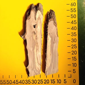 Live Edge Olive Wood Slab Set – Rustic DIY Epoxy Art Projects