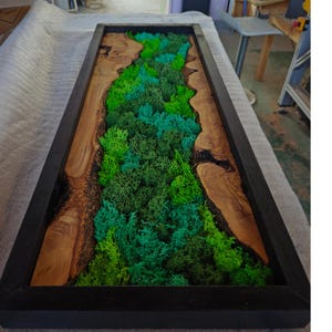 Modern olive wood moss wall art displayed in a slim architectural frame design. Moos Kunst handgemacht für modernes und organisches Wohndesign.