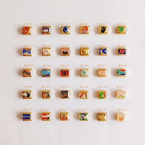 Puede incluir: Una colecci&oacute;n de treinta eslabones modulares dorados para pulsera, dispuestos en cinco filas de seis. Cada eslab&oacute;n rectangular presenta un dise&ntilde;o &uacute;nico en esmalte de colores, incluyendo animales, s&iacute;mbolos, banderas y la palabra DREAM, etiquetados del H151 al H180.