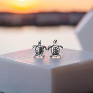 Silver Turtle Womens Stud Earrings, Chic Jewellery, Lightweight Everyday Wear, Fashion Design Jewellery For Her, Present