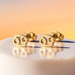 14K Gold-Plated Zodiac Earrings, 12 Constellation Symbols, Astrology Studs, Women's Jewellery, Perfect Gift for Any Occasion.
