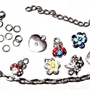 C-104; A Charm Bracelet Kit w Flower, Lady Bug, Poodle, and Heart Charms all Accented with Glass Rhinestones w Chain and Jump Rings Included