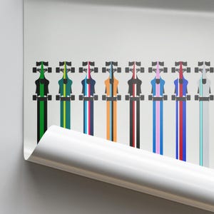 May include: A row of ten black and white racing car silhouettes with different colored stripes. The stripes are green, yellow, blue, pink, orange, black, pink, red, blue, and gray.