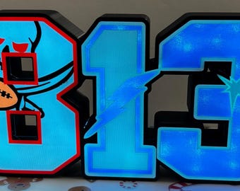 Tampa bay ray,Lightning,Buccaneers lightbox (Champabay)