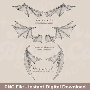 The Bat Boys Wings PNG | Azriel, Cassian and Rhysand PNG | Acotar A Court Of Thorns And Roses Series PNG | Includes Black And White 300DPI!