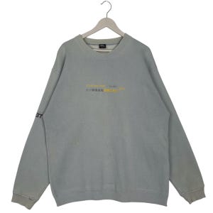 May include: A light grey sweatshirt with a crew neck and long sleeves. The front features text in yellow and grey. The left sleeve has the letters "ST" in white. The sweatshirt is hanging on a wooden hanger.