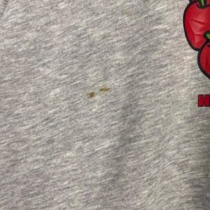 May include: A gray sweatshirt with a red apple graphic and the text "H.I.S." printed on the bottom right corner. The sweatshirt has a few small brown stains.