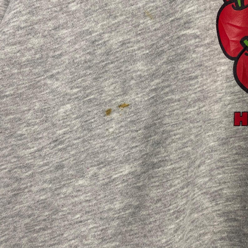 May include: A gray sweatshirt with a red apple graphic and the text "H.I.S." printed on the bottom right corner. The sweatshirt has a few small brown stains.