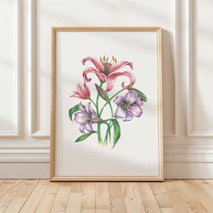 A4/A5 leliebloemen gekleurd potlood kunstafdruk | Fysieke poster met print | Kunst aan de muur | Botanische kunst | Schilderij Woondecoratie | Bloemen [niet ingelijst]