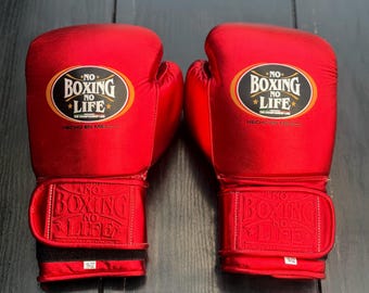 Guantoni da boxe NBNL, guantoni da sparring in pelle fatti a mano, guantoni da allenamento, guantoni da combattimento, regalo per appassionati di boxe