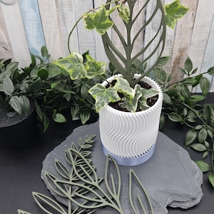 Könnte beinhalten: Ein weißer Keramiktopf mit wellenförmigem Design, der eine grüne, blättrige Pflanze mit einem dekorativen Metall-Blattgitter zeigt. Der Topf steht auf einer schieferfarbenen Oberfläche.