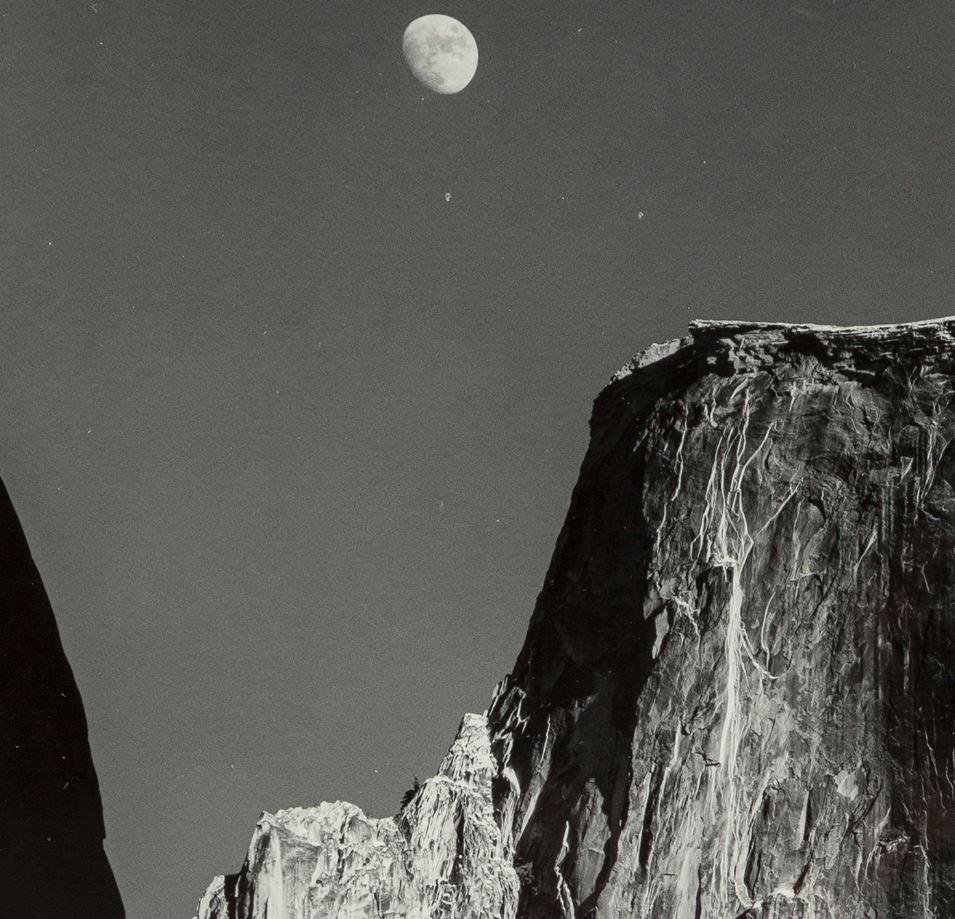 アンセルアダムス　額装品 Birds on A Beach 1966/アンセル アダムス/額装済 : azポスター - 通販