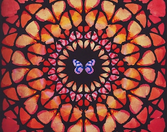 Damien Hirst, &#39;Red Butterflies&#39;, Fine art print, Various sizes